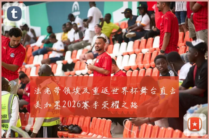 法老带领埃及重返世界杯舞台直击美加墨2026赛季荣耀之路