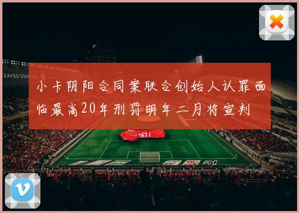 小卡阴阳合同案联合创始人认罪面临最高20年刑罚明年二月将宣判