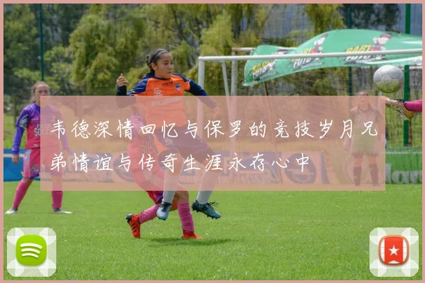韦德深情回忆与保罗的竞技岁月兄弟情谊与传奇生涯永存心中