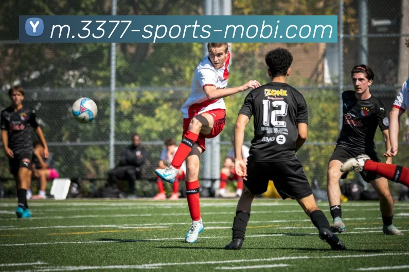 3377体育APP 封面图